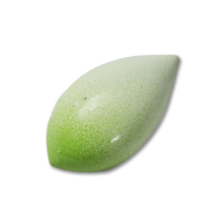 Green Tea Ganache with Sesame Praline