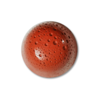 Orange Ganache with Almond crunch