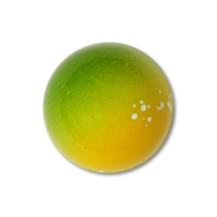 Pineapple Ganache and Vanilla Sable