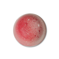 Vanilla Pate de fruit with Lychee Ganache